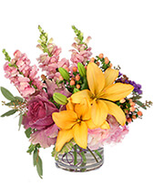 spring beauty spring 