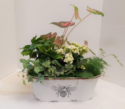 Summer Dishgarden 