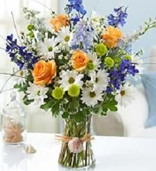 Thinking of you...and the Beach! Best Seller!   in Gainesville, FL | PRANGE'S FLORIST- Sara & Lilli V