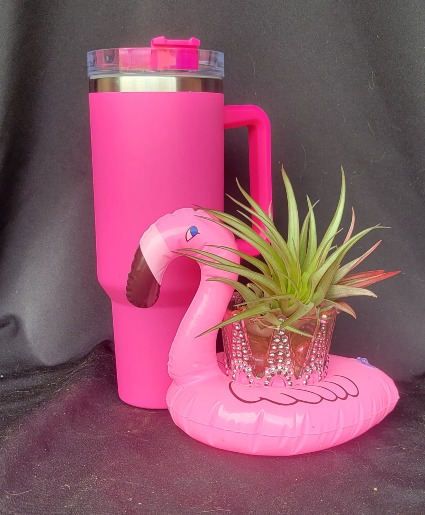 Summer Flamingo w/40 Oz Travel Mug Air Plant