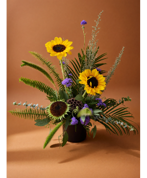 Summer Flare Premium Designer's Choice