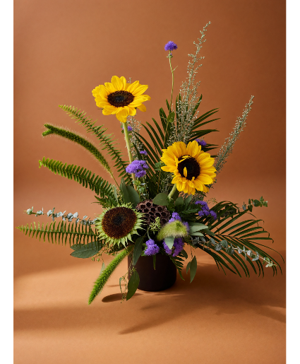 Summer Flare Premium Designer's Choice
