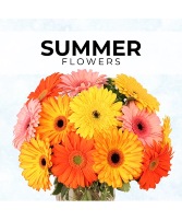 Summer Florist’s Pick Designer's Choice