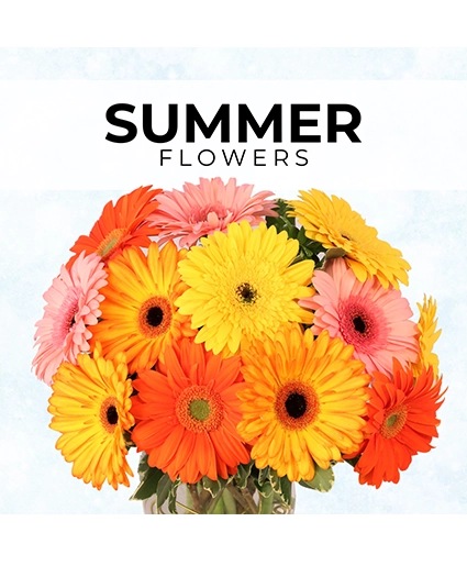 Summer Florist’s Pick Designer's Choice