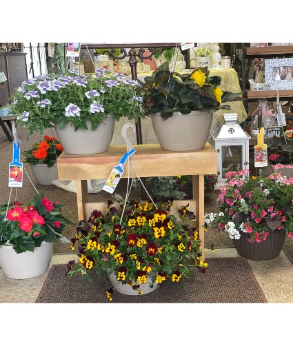 Summer Hanging Baskets Hanging Basket