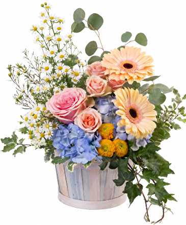 Summer Morning  Basket Arrangement in Gilford, NH | Alton Florist