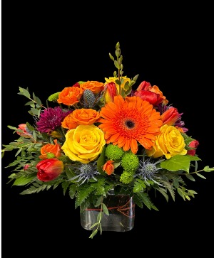 Summer Nights  Arrangement 