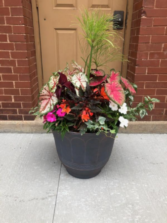 Summer Patio Planter 