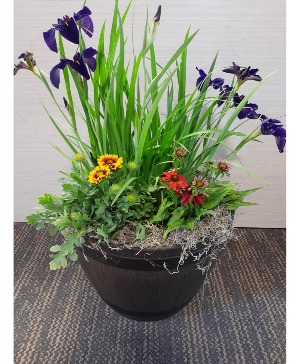  Perennial Planter basket/planter