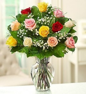 Christmas Roses Christmas