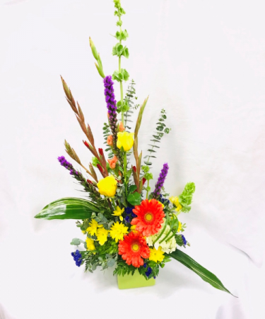 SUMMER SPLENDOR 