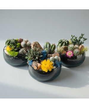 Summer Succulent Dish Garden  Planter 