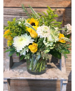 Summer sun  Arrangement
