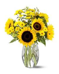 SUMMER  SUNFLOWERS 