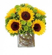 Summer Sunshine Arrangement