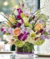 Sumptuous  Lavish Collection