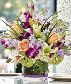 Sumptuous  Lavish Collection