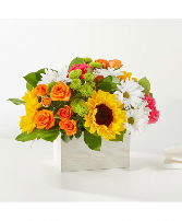 Sun-drenched Blooms Box Bouquet 