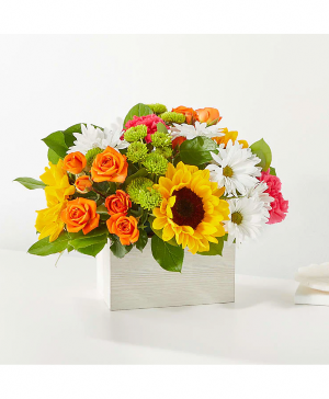 Sun-drenched Blooms Box Bouquet 