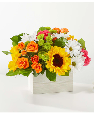 Sun-drenched Blooms Box  Floral Arrangement