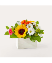 Sun-drenched Blooms Box M3S Bouquet