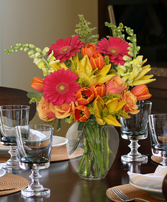 Sun-Drenched Color Lifestyle Arrangement