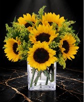 Sun Flower BQT 