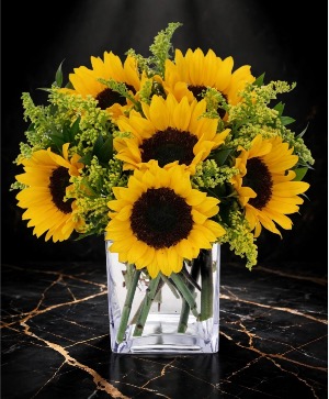 Sun Flower BQT 