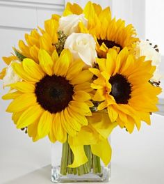 Sun Flowers 