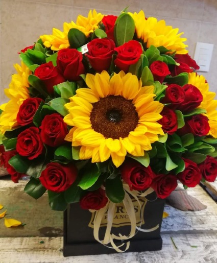 Sun Light ( ALL SIZES AVAILABLE) roses