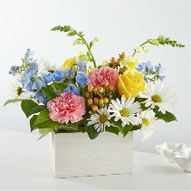 Sun Salutation Box Bouquet 