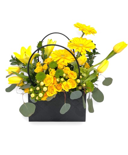 Sunbeam Style Clutch 