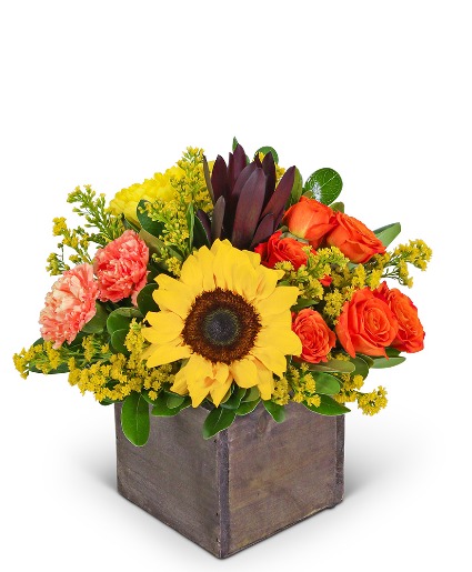 Sunbeam Symphony Flower Arrangement