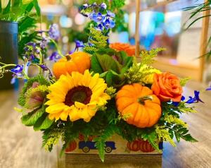 Sunburst Box 