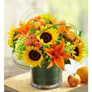 Sunburst Delight Fresh Arrangement 