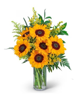 Sunflower and Love Knots 
