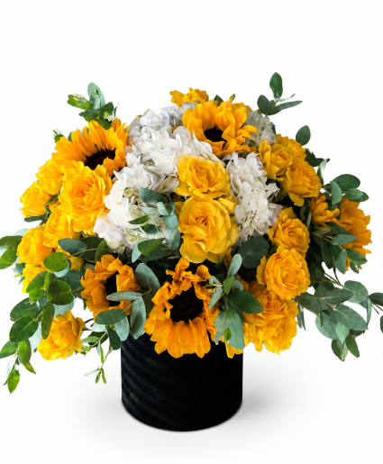 Sunflower Beauty  