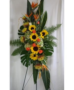 SUNFLOWER BIRDS Funeral