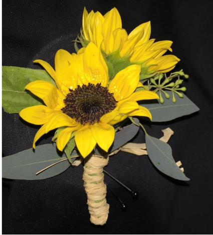 Sunflower Bout 