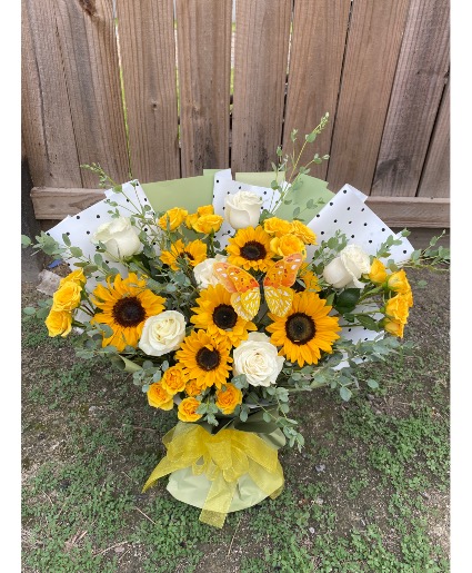 Sunflower Buchon 