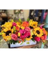 SUNFLOWER BURST 