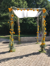 Sunflower Chuppah 