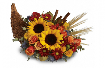 Sunflower-copia  in Kirtland, OH | Kirtland Flower Barn