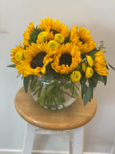 Sunflower Harvest 