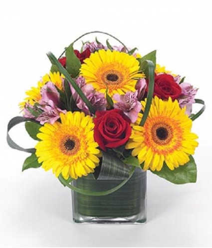Summer Fields, With a Modern Twist! Cubed Arrangement
