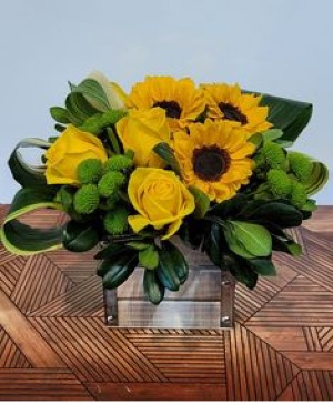 Sunflower Fight 