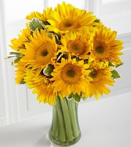 Sunflower Galore Spring