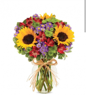 Sunflower Garden 