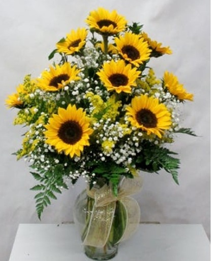 **SPECIAL** Sunflower Medley  