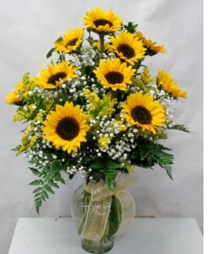 Sunflower Medly 